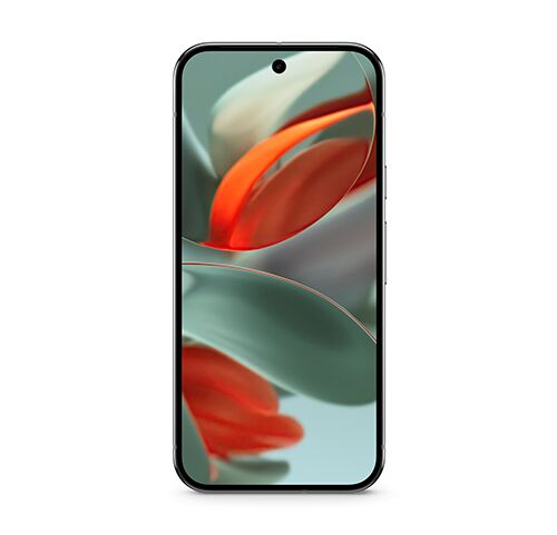 Google Pixel 9 Pro